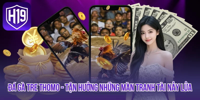 Đá Gà Tre Thomo - Tận Hưởng Những Màn Tranh Tài Nảy Lửa